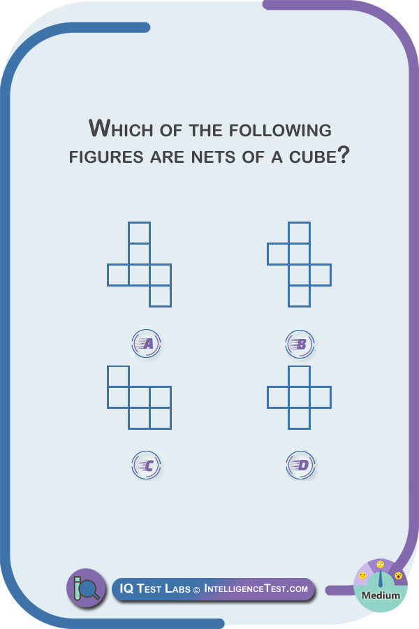 iq-test-labs-visualization