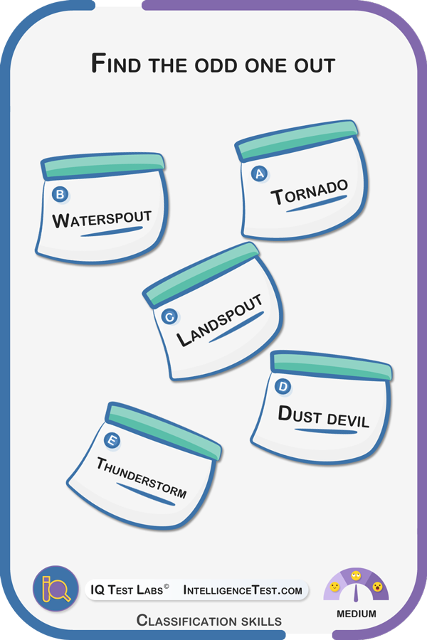 Find the odd one out: tornado, watersprout, landsprout, dust devil, thunderstorm.