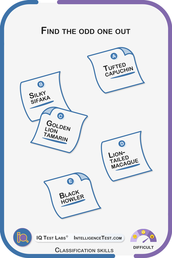 Which is the odd one out? Black howler, Lion-tailed macaque, Tufted capuchin, Golden lion tamarin or Silky sifaka?