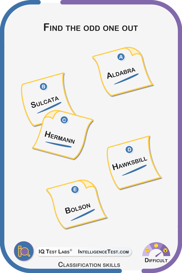 Find the odd one out: Aldabra, Sulcata, Hermann, Hawksbill, Bolson.