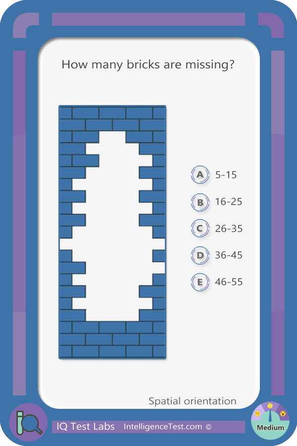 How many bricks are missing in this wall?