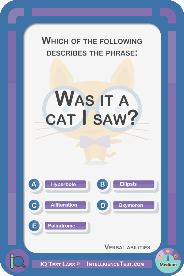 Which of the following describes the phrase, 'Was it a cat I saw?'