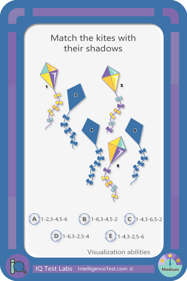 Match the kites with their shadows