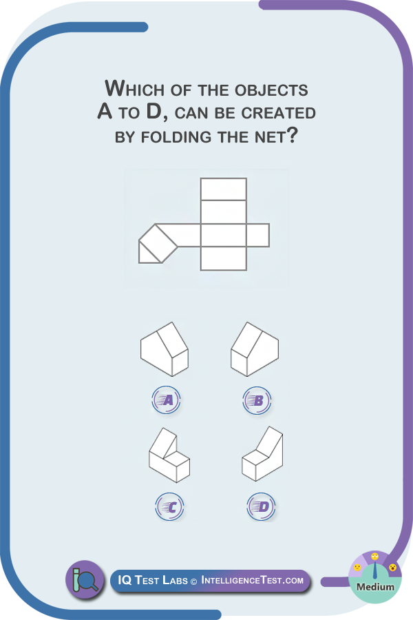 Which of the objects, A to D, can be created by folding the net?