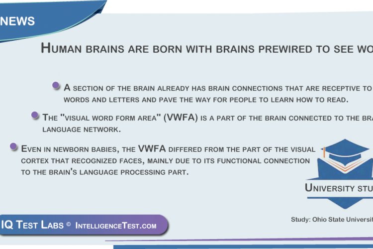 Human Brains Are Born With Brains Prewired To See Words Iq Test Labs News