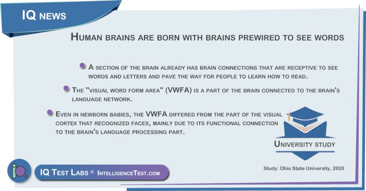 Humans are born with brains prewired to see words