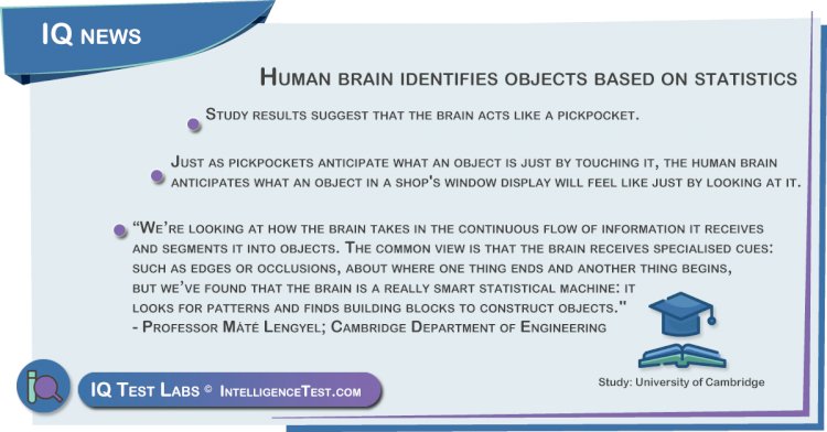 Human brain identifies objects based on statistics
